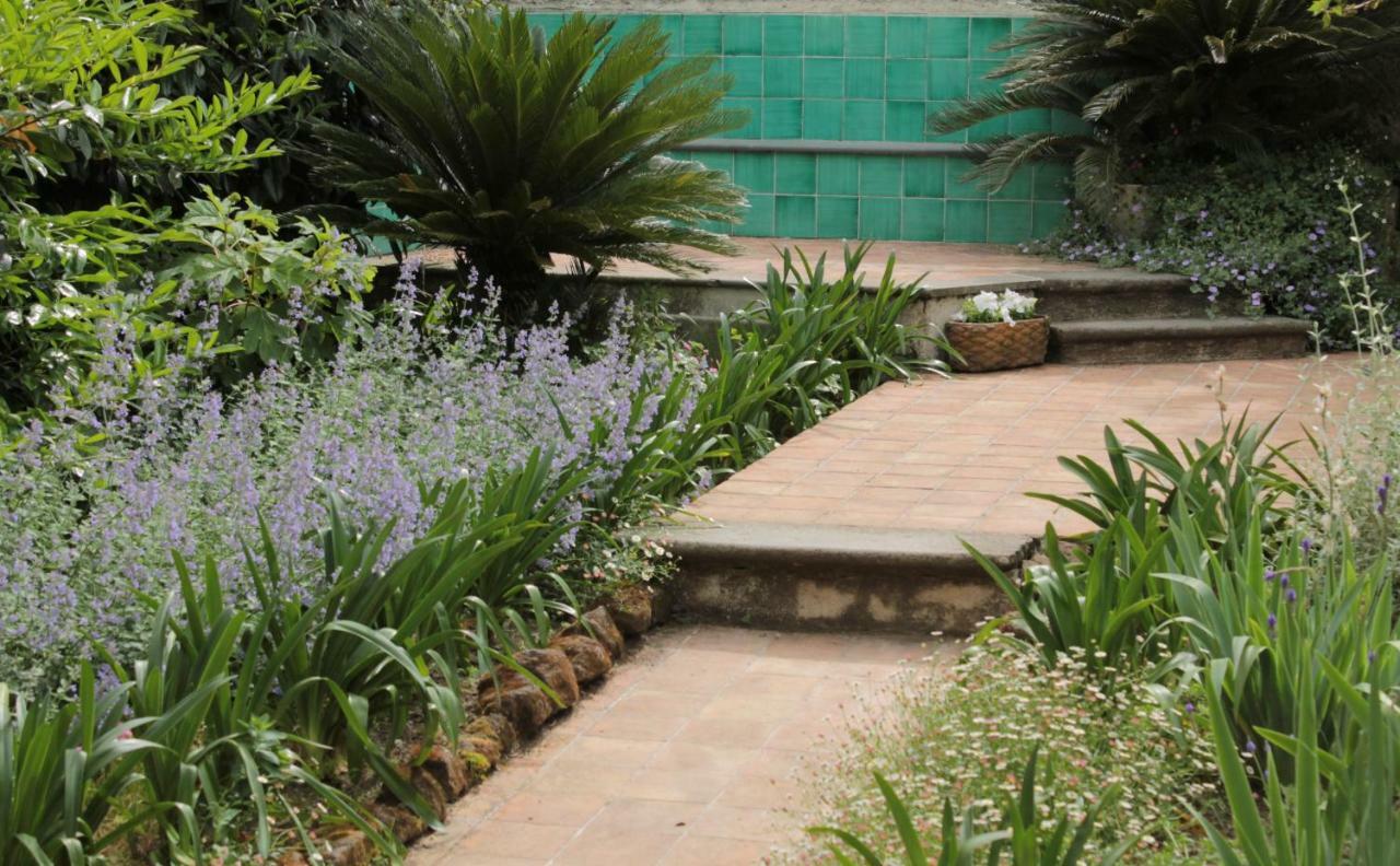 Iride Bed And Breakfast Μπαρονίσι Εξωτερικό φωτογραφία